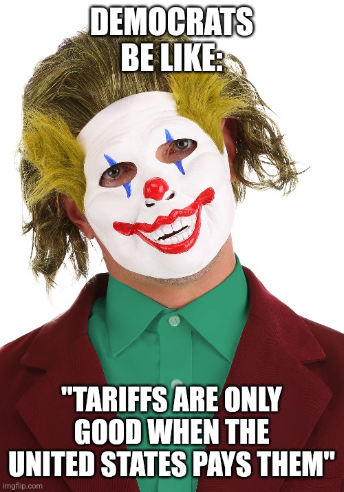 DEMOCRATS BE LIKE:; "TARIFFS ARE ONLY GOOD WHEN THE UNITED STATES PAYS THEM" | image tagged in funny memes | made w/ Imgflip meme maker