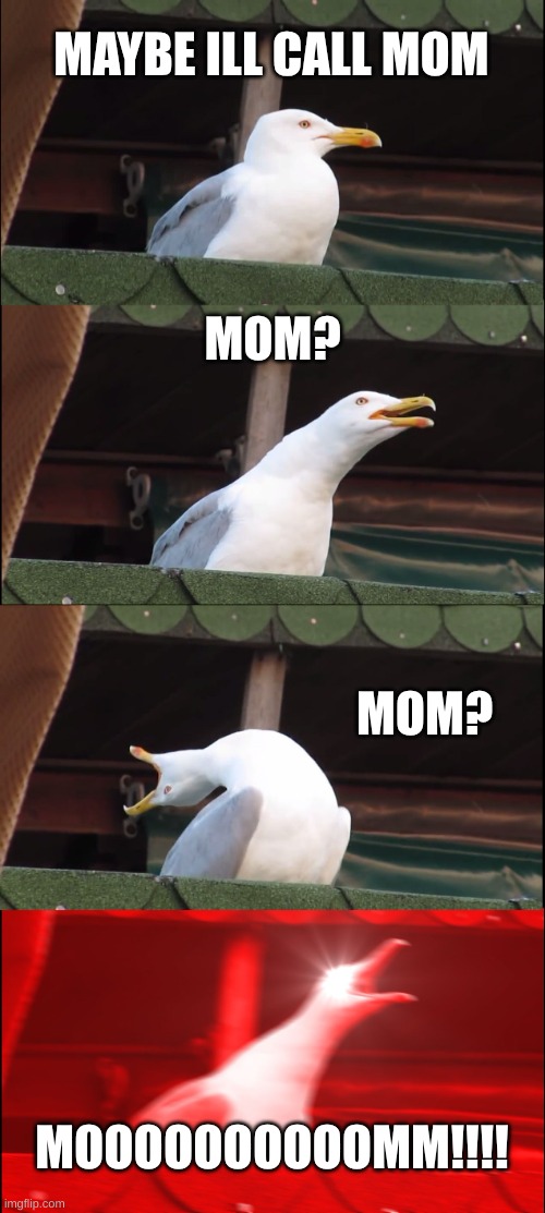 Inhaling Seagull | MAYBE ILL CALL MOM; MOM? MOM? MOOOOOOOOOOMM!!!! | image tagged in memes,inhaling seagull | made w/ Imgflip meme maker