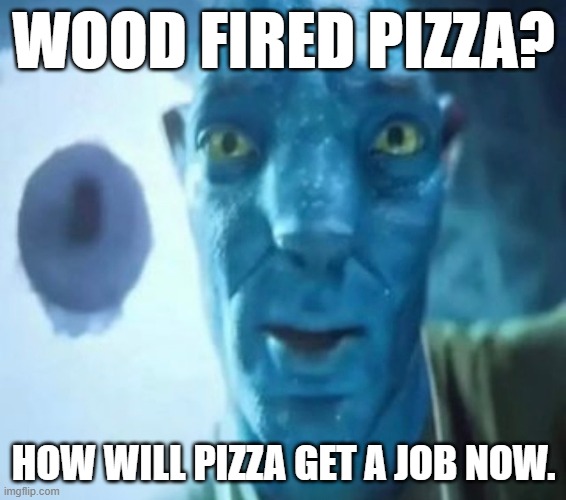 wood fired pizza? | WOOD FIRED PIZZA? HOW WILL PIZZA GET A JOB NOW. | image tagged in avatar guy,missed the point,why are you reading the tags | made w/ Imgflip meme maker