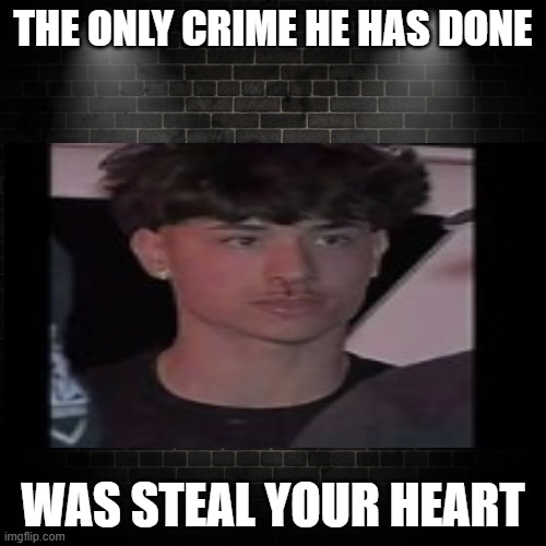 Alex Chino ? | THE ONLY CRIME HE HAS DONE; WAS STEAL YOUR HEART | image tagged in celebrity | made w/ Imgflip meme maker