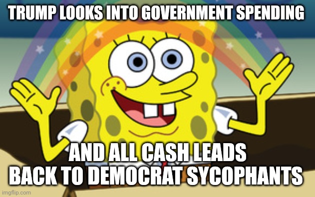 Trump 2024 | TRUMP LOOKS INTO GOVERNMENT SPENDING; AND ALL CASH LEADS BACK TO DEMOCRAT SYCOPHANTS | image tagged in spongebob magic | made w/ Imgflip meme maker