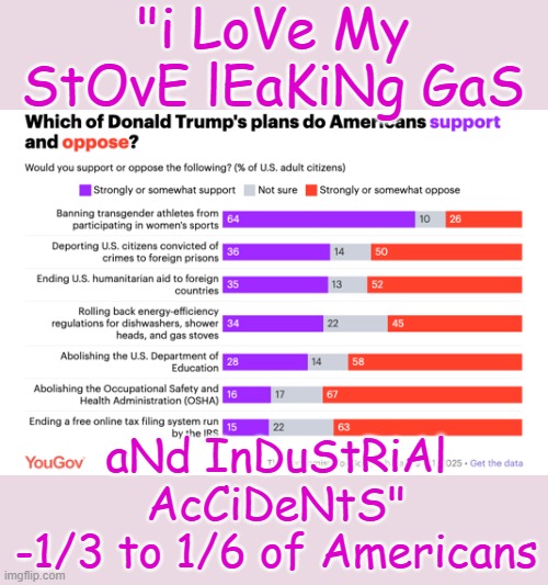 OSHA?? Really? | "i LoVe My StOvE lEaKiNg GaS; aNd InDuStRiAl AcCiDeNtS"
-1/3 to 1/6 of Americans | image tagged in stupidity,maga,danger,cult,policy | made w/ Imgflip meme maker