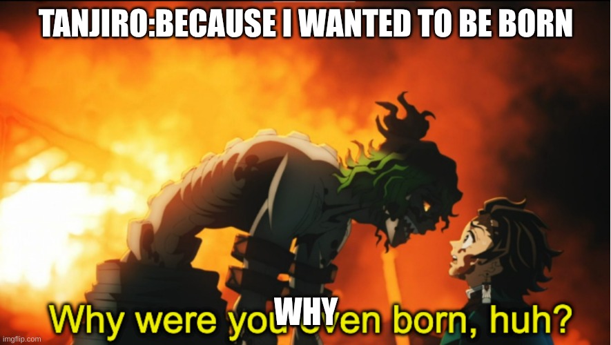 Why were you even born subtitled | TANJIRO:BECAUSE I WANTED TO BE BORN; WHY | image tagged in why were you even born subtitled | made w/ Imgflip meme maker