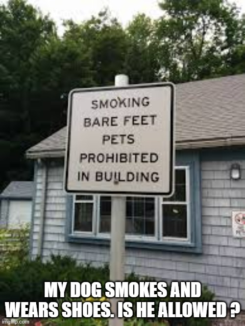 memes by Brad - Sign says "smoking pets with bare feet not allowed" - humor - | MY DOG SMOKES AND WEARS SHOES. IS HE ALLOWED ? | image tagged in funny,fun,funny signs,pets,smoking,humor | made w/ Imgflip meme maker