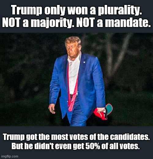 Loser | Trump only won a plurality. NOT a majority. NOT a mandate. Trump got the most votes of the candidates. But he didn't even get 50% of all votes. | image tagged in less than fifty percent,liar,loser,cannot make this stuff up,truth | made w/ Imgflip meme maker