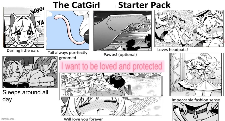 CatGirl Starter pack | image tagged in anime,nekomimi,catgirl | made w/ Imgflip meme maker