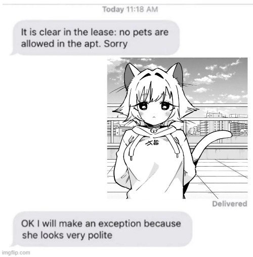 bro is just a simp | image tagged in anime,nekomimi | made w/ Imgflip meme maker