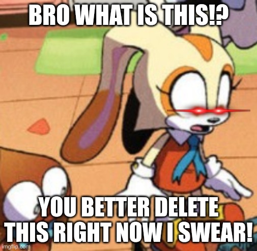 Cream the rabbit gasp | BRO WHAT IS THIS!? YOU BETTER DELETE THIS RIGHT NOW I SWEAR! | image tagged in cream the rabbit gasp | made w/ Imgflip meme maker