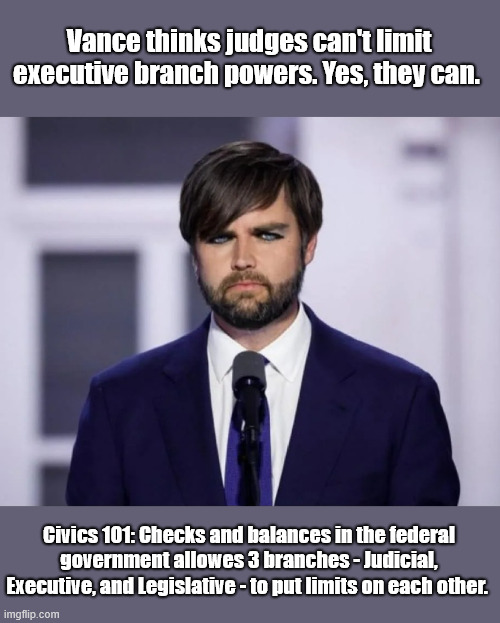 It's in the US Constitution | Vance thinks judges can't limit executive branch powers. Yes, they can. Civics 101: Checks and balances in the federal government allowes 3 branches - Judicial, Executive, and Legislative - to put limits on each other. | image tagged in three branches of government,checks and balances,limits,president is not king,vance | made w/ Imgflip meme maker