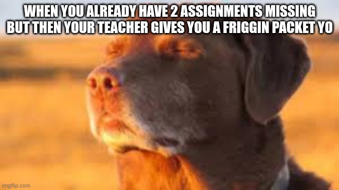 A friggin packet yo... | WHEN YOU ALREADY HAVE 2 ASSIGNMENTS MISSING BUT THEN YOUR TEACHER GIVES YOU A FRIGGIN PACKET YO | image tagged in the moment when,funny,teachers,school,college,high school | made w/ Imgflip meme maker