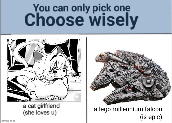 if you choose left then you are a simp. | image tagged in anime,nekomimi | made w/ Imgflip meme maker