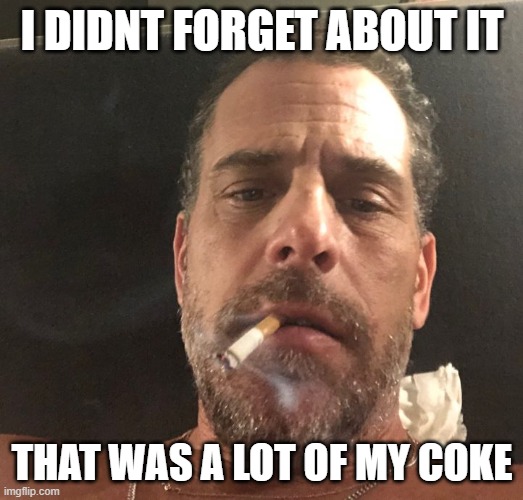 Hunter Biden | I DIDNT FORGET ABOUT IT THAT WAS A LOT OF MY COKE | image tagged in hunter biden | made w/ Imgflip meme maker