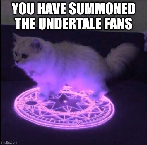Demonic Little Grey Cat | YOU HAVE SUMMONED THE UNDERTALE FANS | image tagged in demonic little grey cat | made w/ Imgflip meme maker