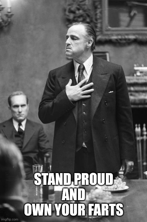 proud | STAND PROUD
AND
OWN YOUR FARTS | image tagged in proud | made w/ Imgflip meme maker