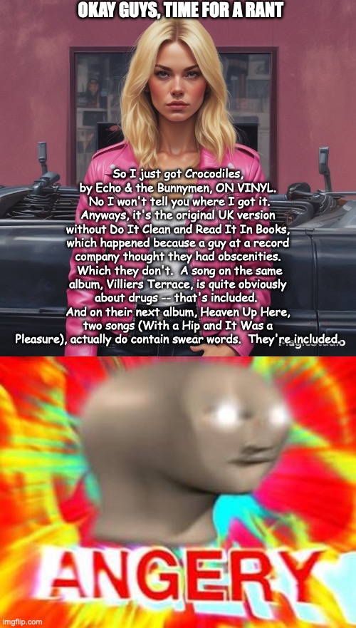 WHYYYYYYY- | OKAY GUYS, TIME FOR A RANT; So I just got Crocodiles, by Echo & the Bunnymen, ON VINYL.  No I won't tell you where I got it. Anyways, it's the original UK version without Do It Clean and Read It In Books, which happened because a guy at a record company thought they had obscenities.  Which they don't.  A song on the same album, Villiers Terrace, is quite obviously about drugs -- that's included.  And on their next album, Heaven Up Here, two songs (With a Hip and It Was a Pleasure), actually do contain swear words.  They're included. | image tagged in saturner's announced temp,surreal angery | made w/ Imgflip meme maker