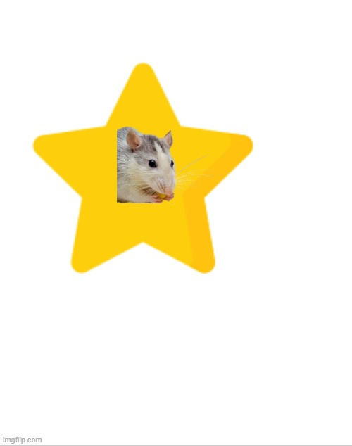 Blank White Template | image tagged in blank white template | made w/ Imgflip meme maker