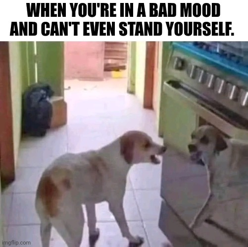 When You're In A Bad Mood And Can't Even Stand Yourself. | WHEN YOU'RE IN A BAD MOOD AND CAN'T EVEN STAND YOURSELF. | image tagged in chris joines | made w/ Imgflip meme maker