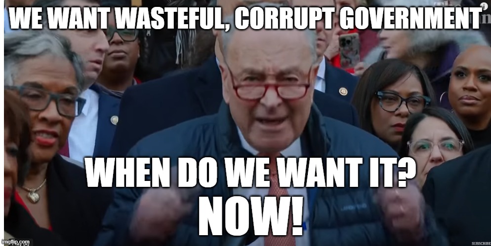 USAid Corruption | WE WANT WASTEFUL, CORRUPT GOVERNMENT; WHEN DO WE WANT IT? NOW! | image tagged in democrats | made w/ Imgflip meme maker