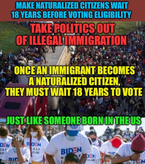 Citizenship over politics | MAKE NATURALIZED CITIZENS WAIT 18 YEARS BEFORE VOTING ELIGIBILITY | image tagged in gifs,democrats,illegal immigration,voter fraud,national security | made w/ Imgflip meme maker