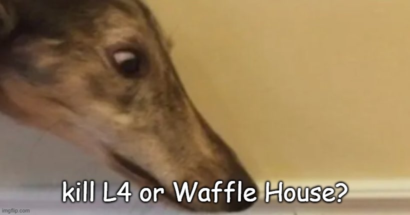 long nose dog | kill L4 or Waffle House? | image tagged in long nose dog | made w/ Imgflip meme maker