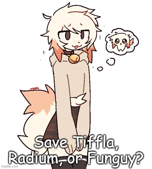 femboy | Save Tiffla, Radium, or Funguy? | image tagged in femboy | made w/ Imgflip meme maker