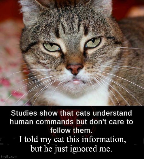 Truth… | I told my cat this information, but he just ignored me. | made w/ Imgflip meme maker