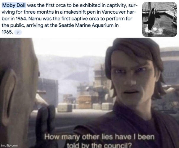 I thought it was Shamu :( | image tagged in how many other lies have i been told by the council,shamu,seaworld,orca,killer whale | made w/ Imgflip meme maker