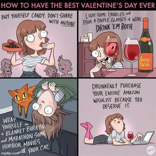 image tagged in valentine's day,candy,candles,wine,cat,amazon | made w/ Imgflip meme maker