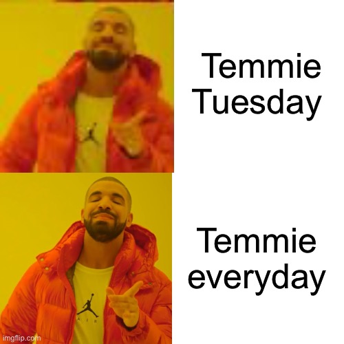 Drake Hotline Bling Meme | Temmie Tuesday Temmie everyday | image tagged in memes,drake hotline bling | made w/ Imgflip meme maker