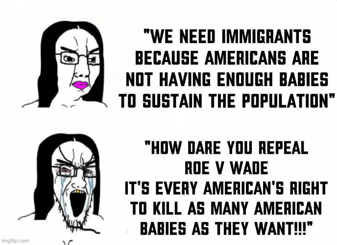 Lib logic | image tagged in lib logic,more like hypocrisy | made w/ Imgflip meme maker