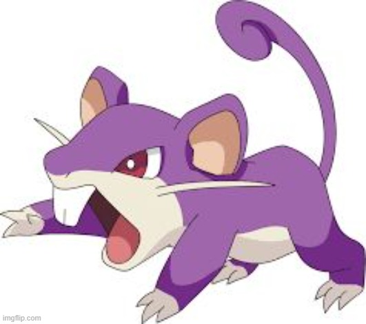 Rattata | image tagged in rattata | made w/ Imgflip meme maker