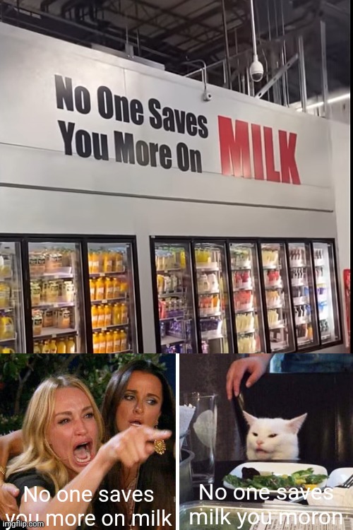 No one saves you more on milk; No one saves milk you moron | image tagged in smudge the cat | made w/ Imgflip meme maker