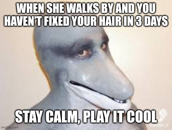 Dolphin Guy | WHEN SHE WALKS BY AND YOU HAVEN’T FIXED YOUR HAIR IN 3 DAYS; STAY CALM, PLAY IT COOL | image tagged in dolphin guy | made w/ Imgflip meme maker