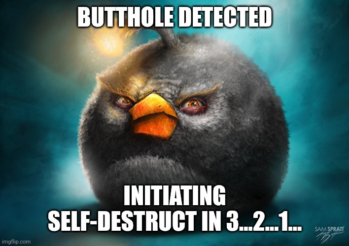 Realistic Bomb Angry Bird | BUTTHOLE DETECTED; INITIATING SELF-DESTRUCT IN 3...2...1... | image tagged in realistic bomb angry bird | made w/ Imgflip meme maker