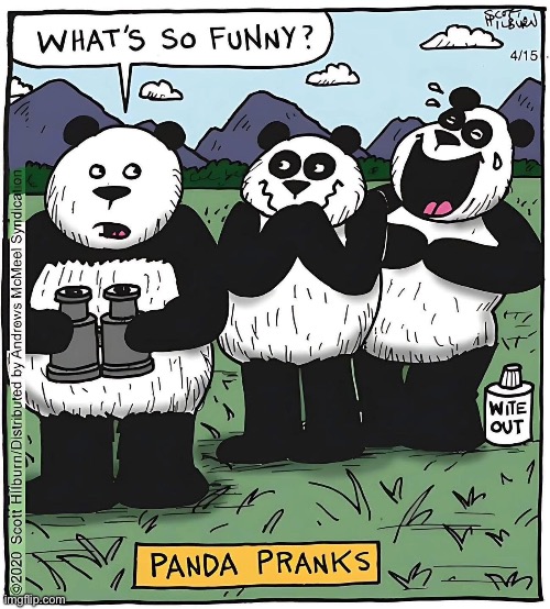 Panda prank | image tagged in panda,prank | made w/ Imgflip meme maker