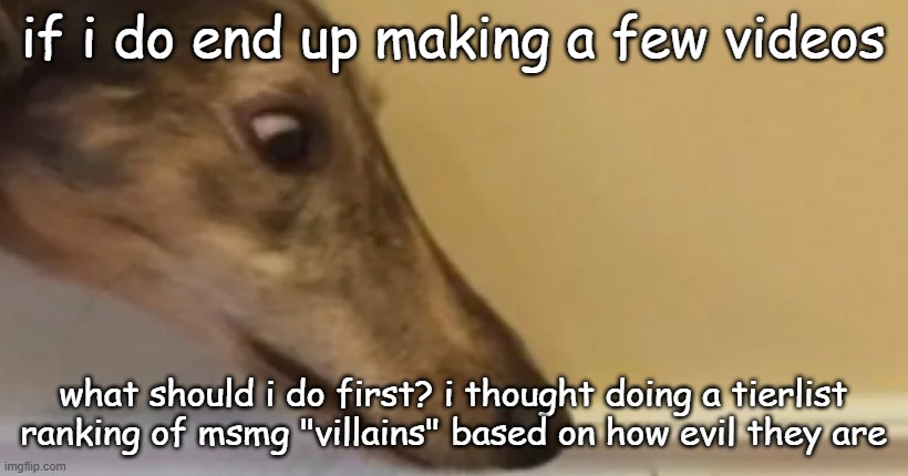 long nose dog | if i do end up making a few videos; what should i do first? i thought doing a tierlist ranking of msmg "villains" based on how evil they are | image tagged in long nose dog | made w/ Imgflip meme maker