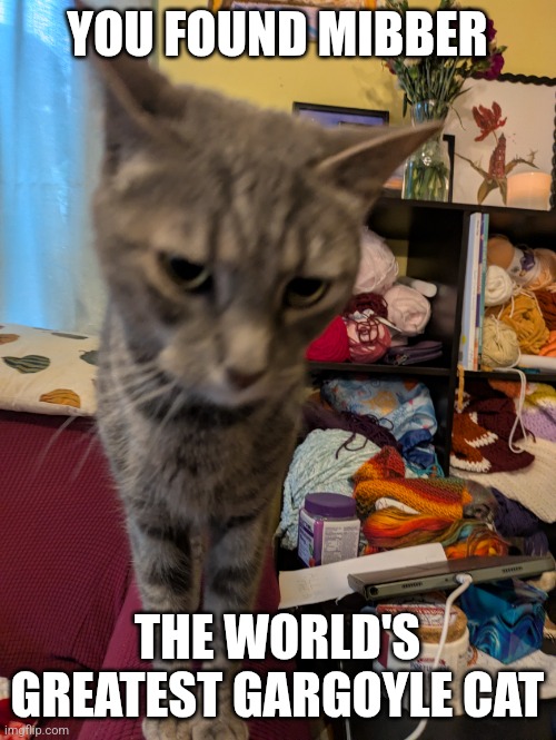 Mibber | YOU FOUND MIBBER; THE WORLD'S GREATEST GARGOYLE CAT | image tagged in mibber,gargoyle cat,meow | made w/ Imgflip meme maker