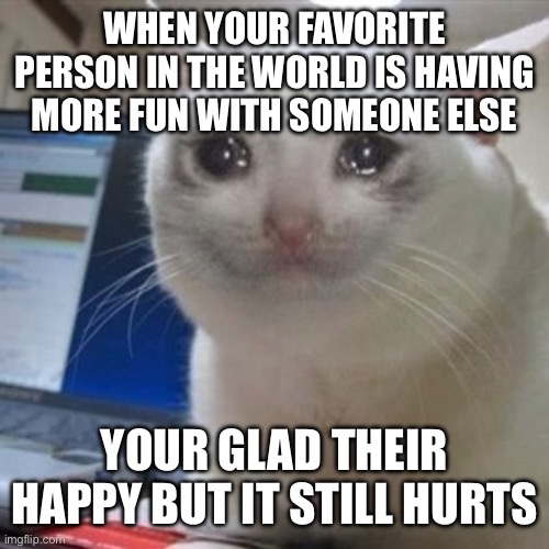 Crying cat | WHEN YOUR FAVORITE PERSON IN THE WORLD IS HAVING MORE FUN WITH SOMEONE ELSE; YOUR GLAD THEIR HAPPY BUT IT STILL HURTS | image tagged in crying cat | made w/ Imgflip meme maker