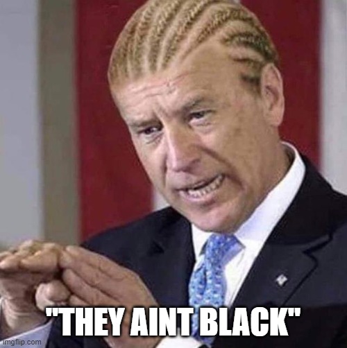 Prezdint B'Iden Doo Nuffin | "THEY AINT BLACK" | image tagged in prezdint b'iden doo nuffin | made w/ Imgflip meme maker