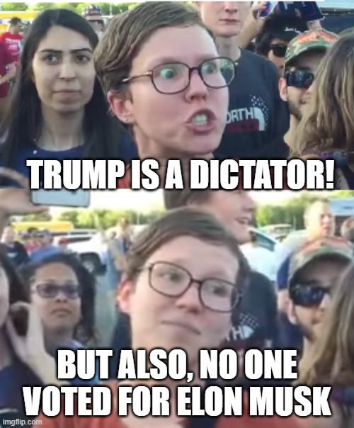 FLIP | TRUMP IS A DICTATOR! BUT ALSO, NO ONE VOTED FOR ELON MUSK | image tagged in two faced liberal snowflake | made w/ Imgflip meme maker