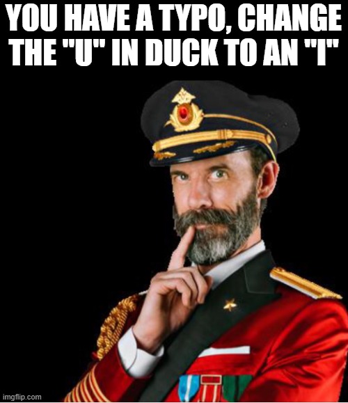 OBVIOUSLY A GOOD SUGGESTION | YOU HAVE A TYPO, CHANGE THE "U" IN DUCK TO AN "I" | image tagged in obviously a good suggestion | made w/ Imgflip meme maker