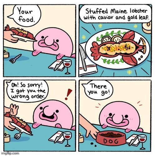 Dog lobster food | image tagged in dog food,lobster,food,comics,comics/cartoons,sea food | made w/ Imgflip meme maker