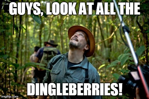 GUYS, LOOK AT ALL THE DINGLEBERRIES! | made w/ Imgflip meme maker