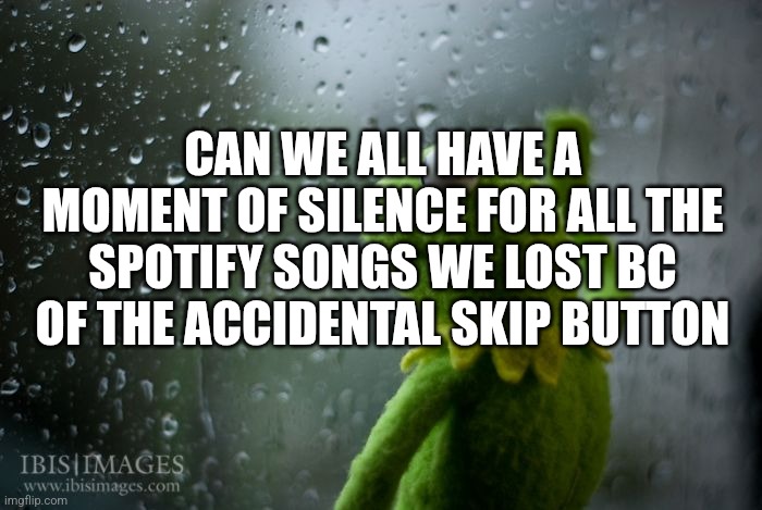 Kerm kerm | CAN WE ALL HAVE A MOMENT OF SILENCE FOR ALL THE SPOTIFY SONGS WE LOST BC OF THE ACCIDENTAL SKIP BUTTON | image tagged in kermit window | made w/ Imgflip meme maker