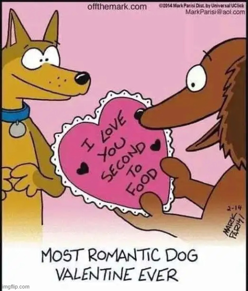 Valentine's | image tagged in repost,dog,valentines | made w/ Imgflip meme maker