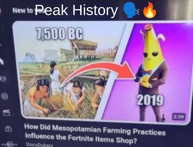 Actually saw the video | Peak History 🗣🔥 | image tagged in fortnite,random,stupid,fun,what,excuse me what the fuck | made w/ Imgflip meme maker