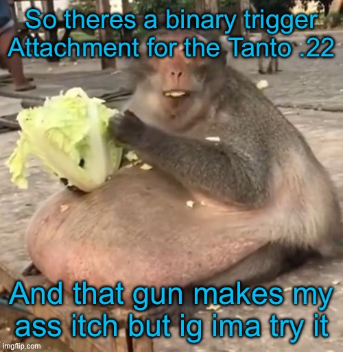 So theres a binary trigger Attachment for the Tanto .22; And that gun makes my ass itch but ig ima try it | made w/ Imgflip meme maker