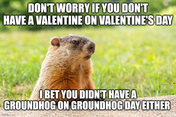 Groundhog Valentine | DON'T WORRY IF YOU DON'T HAVE A VALENTINE ON VALENTINE'S DAY; I BET YOU DIDN'T HAVE A GROUNDHOG ON GROUNDHOG DAY EITHER | image tagged in funny meme,groundhog day,valentine's day,valentine,date,single | made w/ Imgflip meme maker