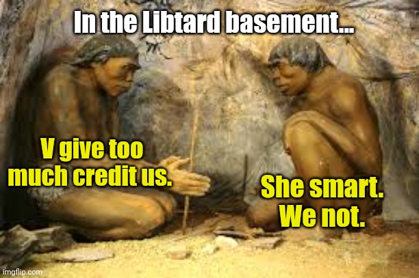 caveman fire | V give too much credit us. She smart. 
We not. In the Libtard basement... | image tagged in caveman fire | made w/ Imgflip meme maker