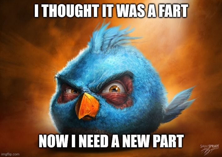 angry birds blue | I THOUGHT IT WAS A FART; NOW I NEED A NEW PART | image tagged in angry birds blue | made w/ Imgflip meme maker